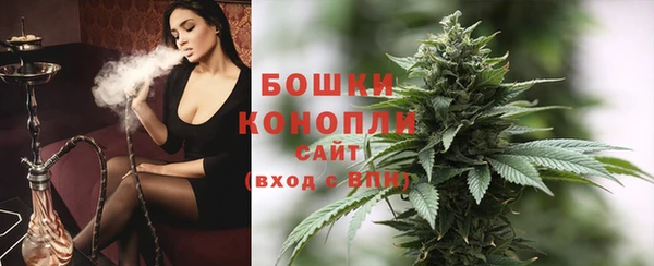 хмурый Арсеньев