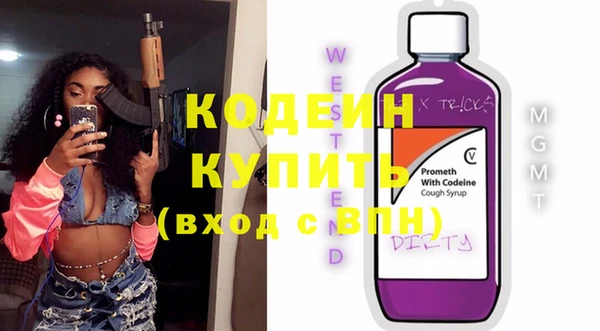 хмурый Арсеньев