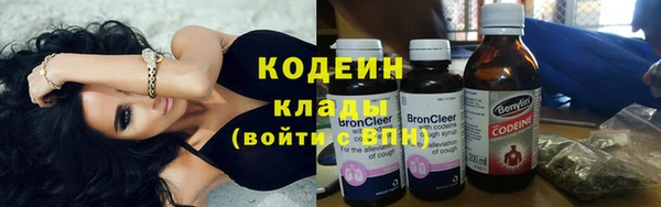хмурый Арсеньев