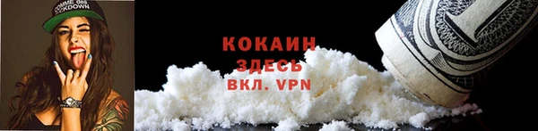 хмурый Арсеньев