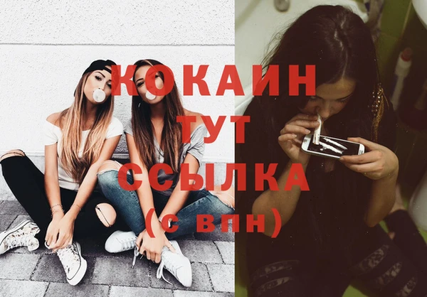 хмурый Арсеньев