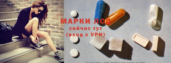 хмурый Арсеньев