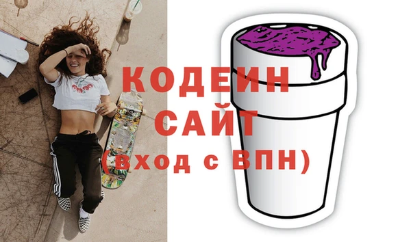 хмурый Арсеньев