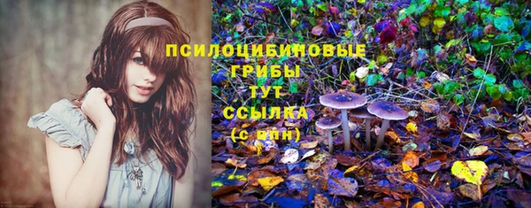 таблы Армянск