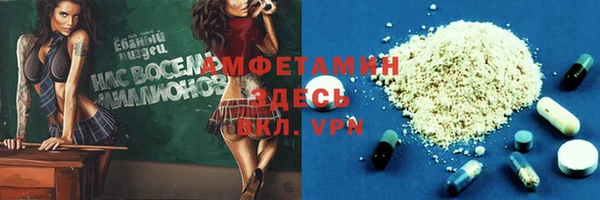 хмурый Арсеньев